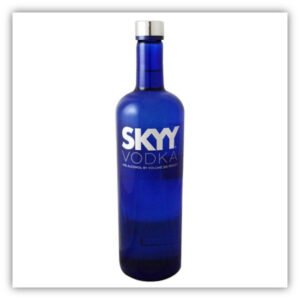 Skyy-vodka-1.jpg